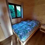 Letniskowe Rekinek