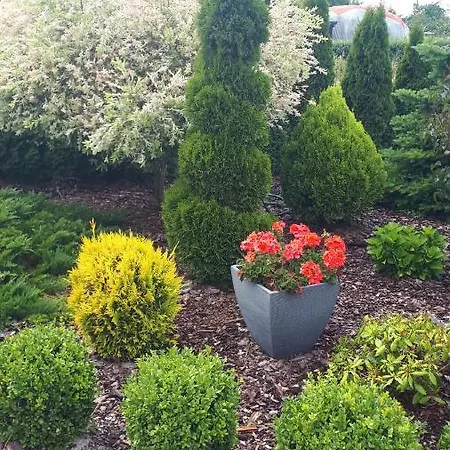 Letniskowe Rekinek Darlowo