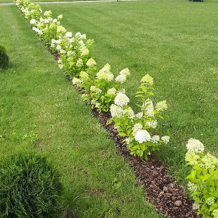 Letniskowe Rekinek Holiday home