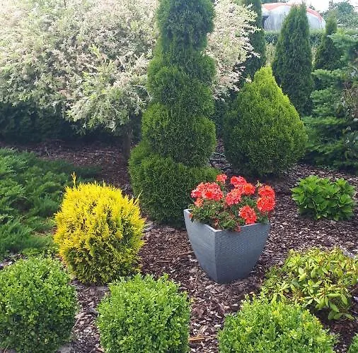 Letniskowe Rekinek ダルウォボ